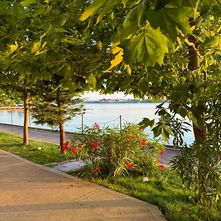 Διαμέρισμα Apartmente In Solidhouse